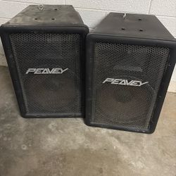 12 Inch Subwoofer