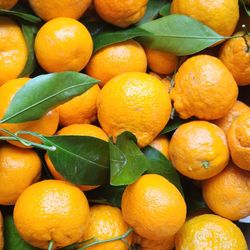 Sweet Mandarins 