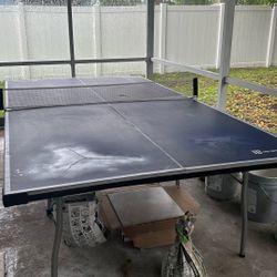 Tenis Of The Table( Mesa De Ping Pong)