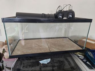 Reptile tank and accessories