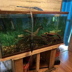 75 Gal Aquarium