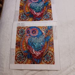 Special Diamond Painting Owls