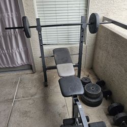 Work Bench And Curl Bar W/ 100lbs In Weights
