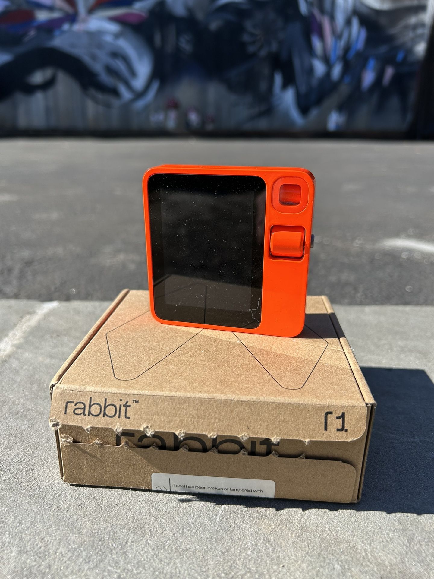Rabbit R1