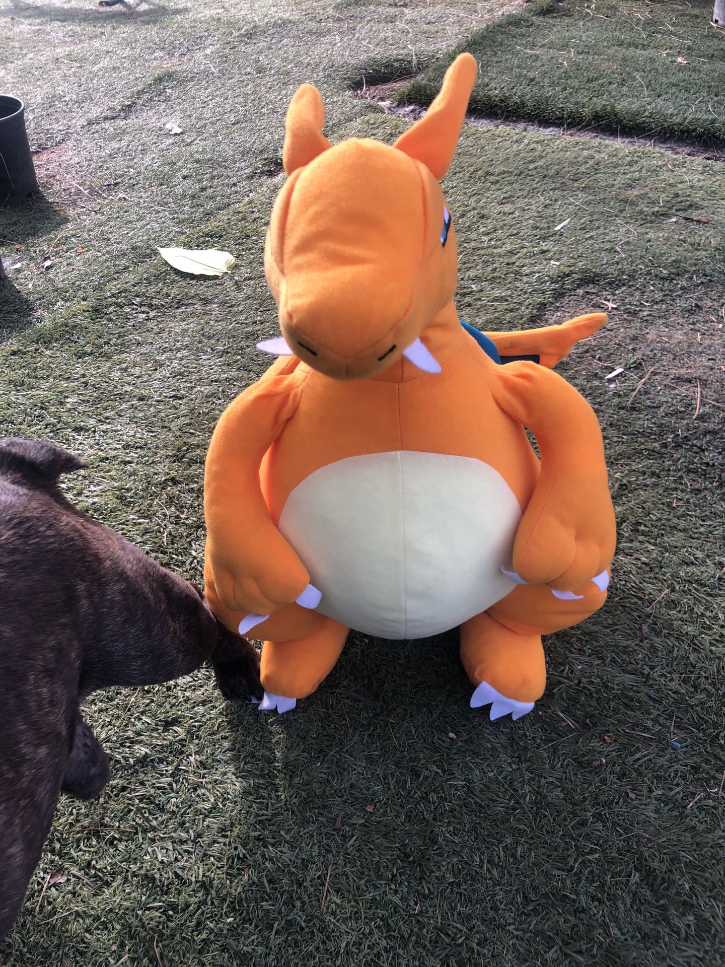 Charizard Plushie