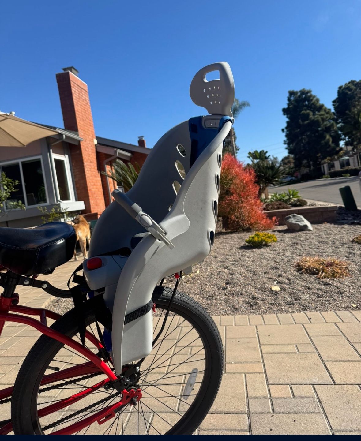 Schwinn Deluxe Bike Child Carrier