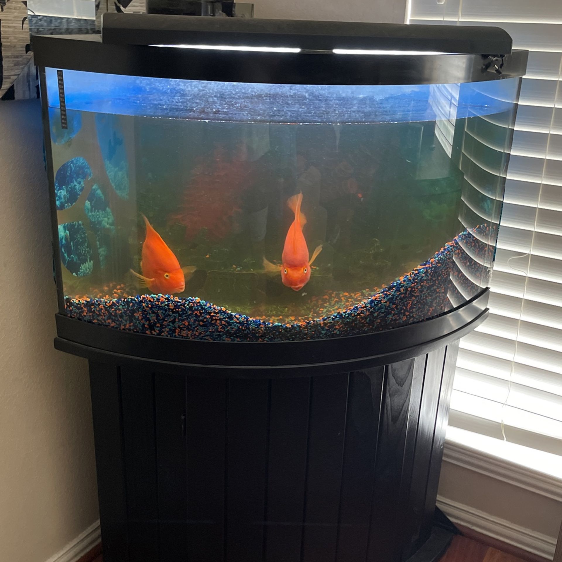 Fish Tank w  Stand 