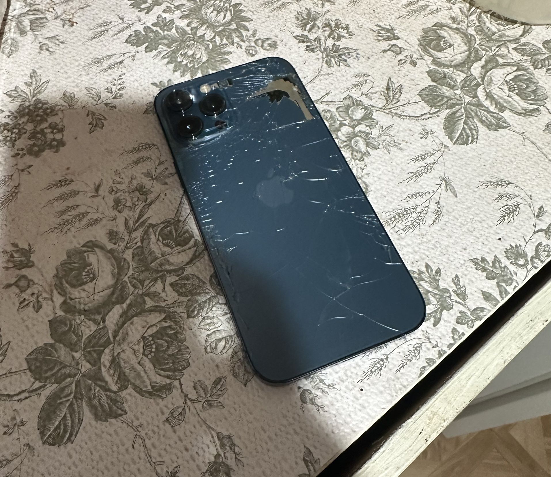 iPhone 12 Pro Max Unlocked Loud Speaker Does Not Work