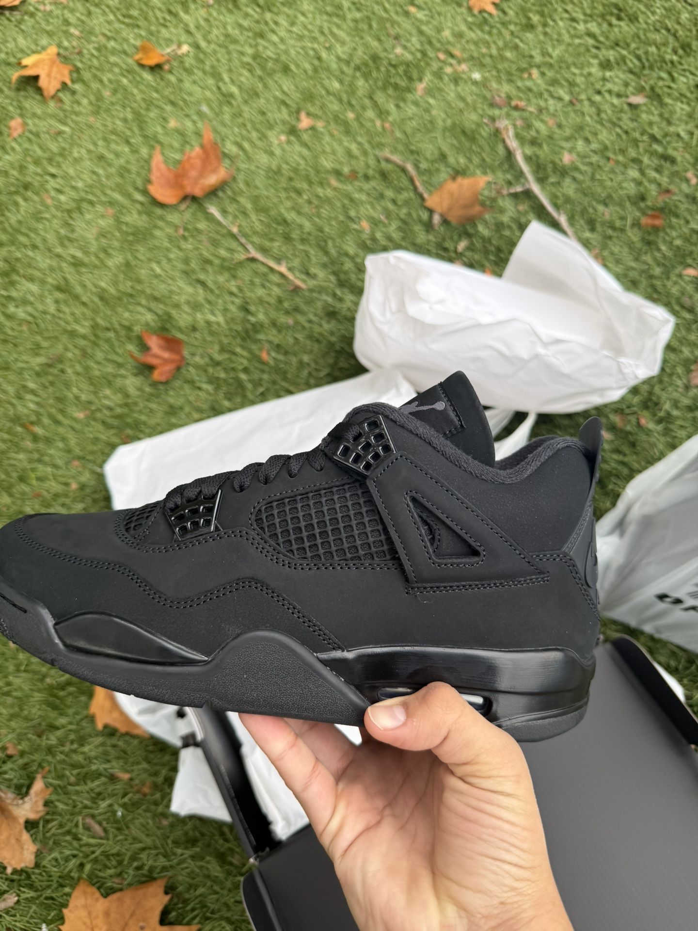 Jordan 4 Black Cats 