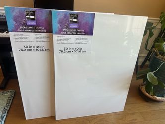 Brand NEW Two stretched canvas 30x40
