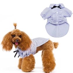 Dog shirt (XXL)