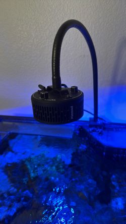 kessil 360 tunas-blue
