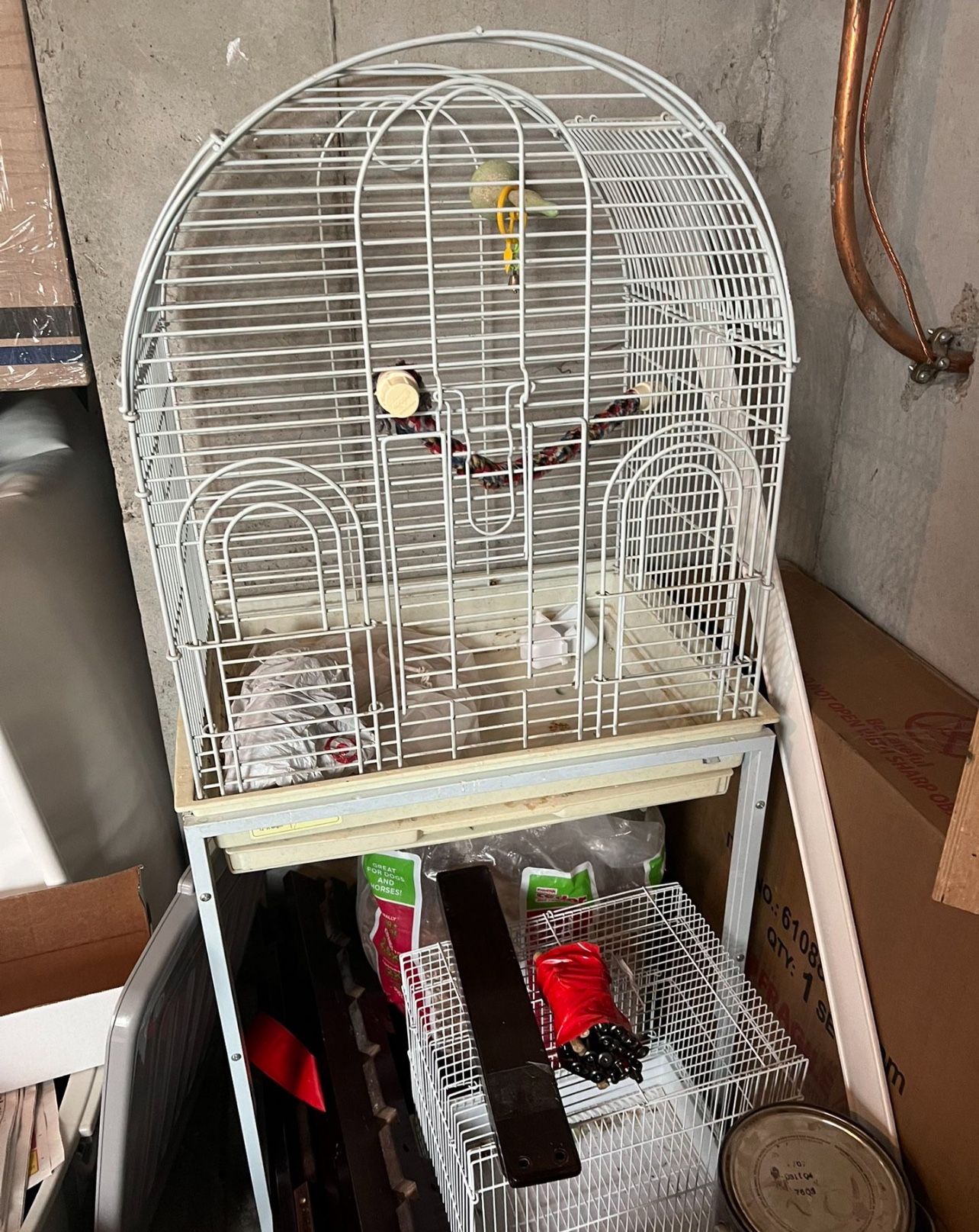  bird cage