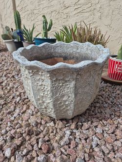 Different size large terracotta pots