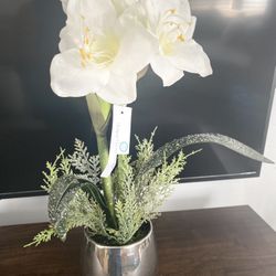 Artificial  Plant