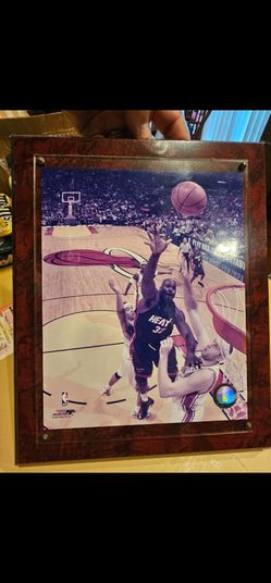 Shaq framed picture