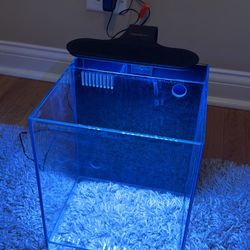 5 Gallon Glass Fish Tank