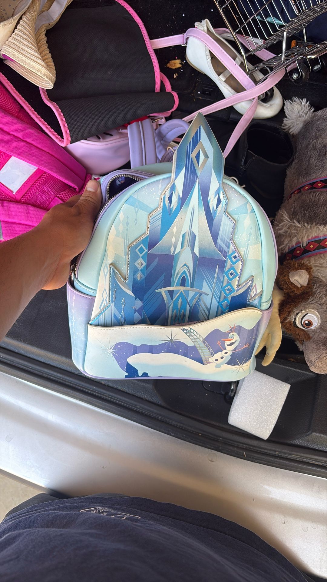 Frozen Backpack