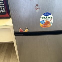 Mini Fridge 
