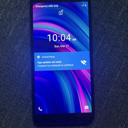 BLU Products Inc. Model J9L Cell Phone