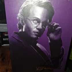 Bruce Banner Hot Toys Action figure