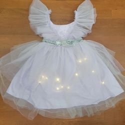 Pottery Barn Purple Fairy Dress 4-6T