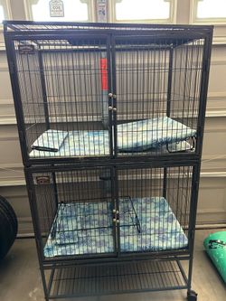 Birdcage