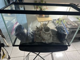 30 Gallon Aquarium Setup – Clean, Ready to Go