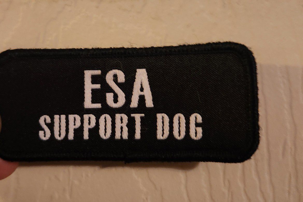 Support Dog Patch