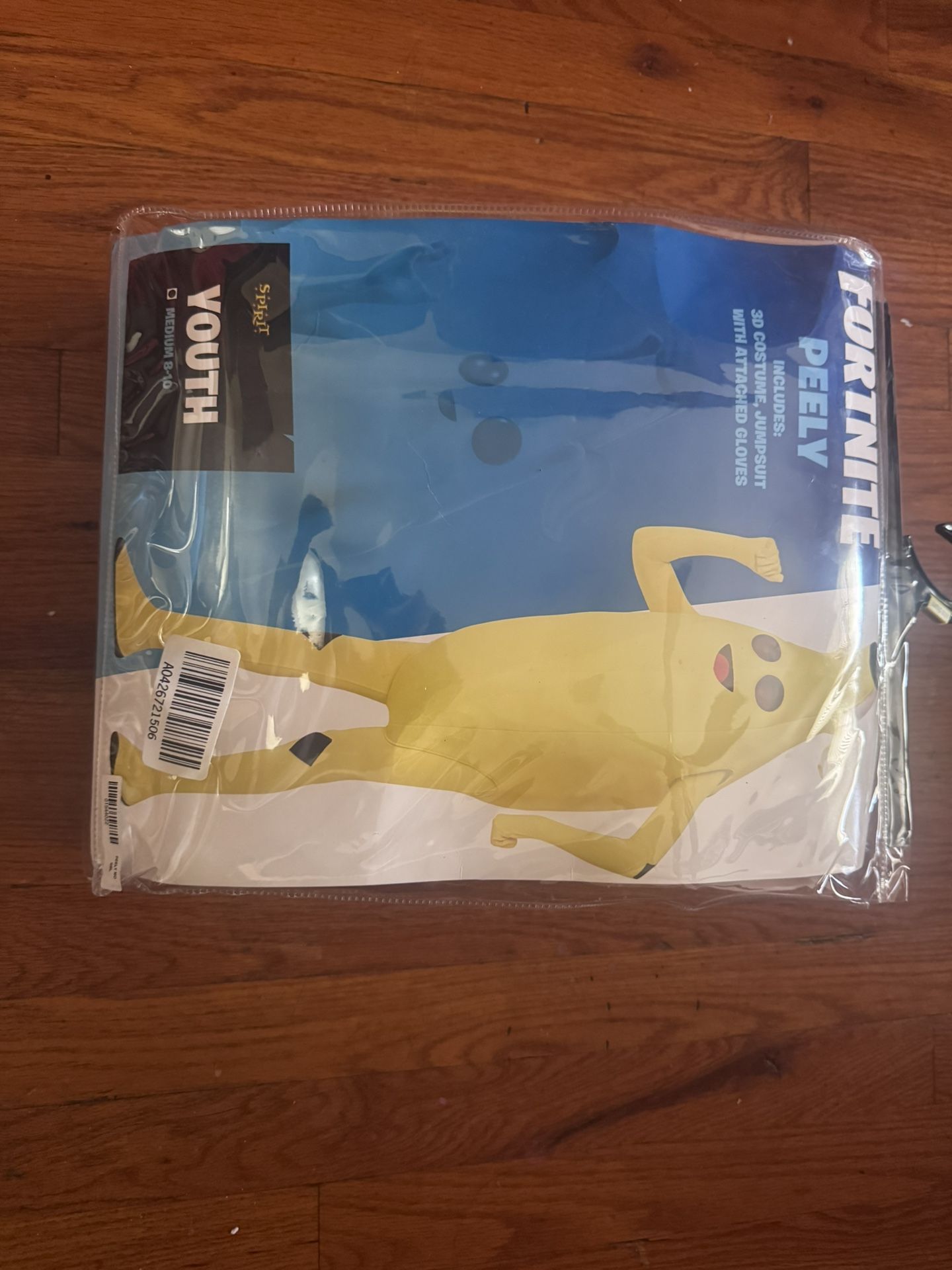 Spirit Halloween Costum