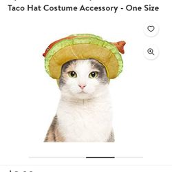 New Fish Taco Cat Hat