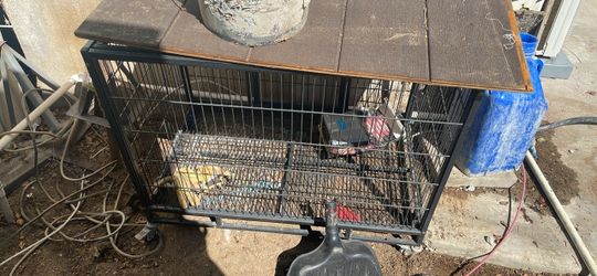 Large Metal Dog Crate on Wheels