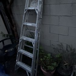 Werner Latter 6ft 223lbs Aluminum For Sale