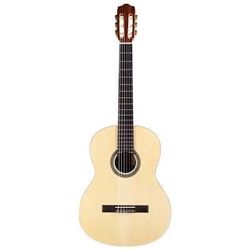 Protégé Guitar