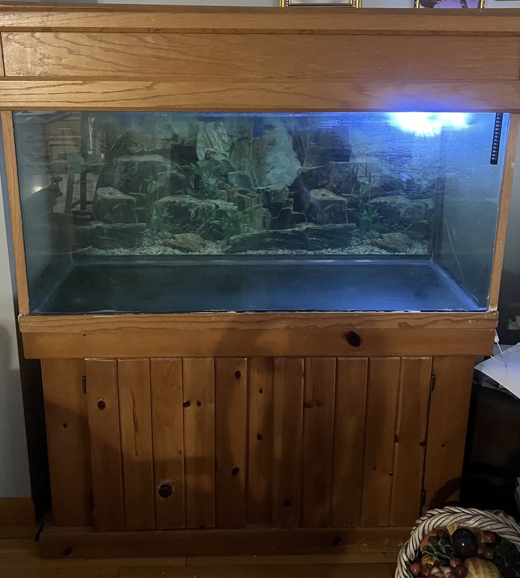 Aquarium 