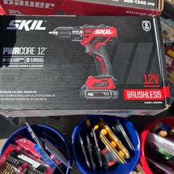 SKIL DRILL DRIVER SET 