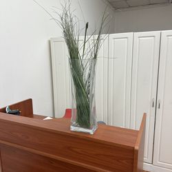 Flower or Plant Vase
