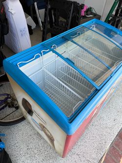 Nestle freezer