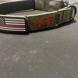 Dog Collar 
