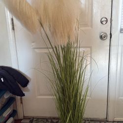 A plastic houseplant from Happy Labby.