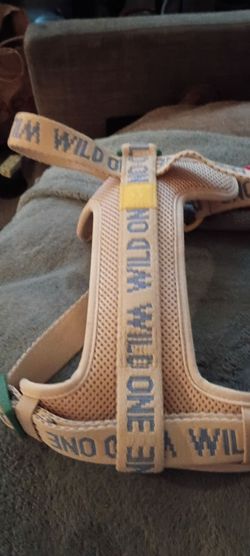 Wild One Dog Harness