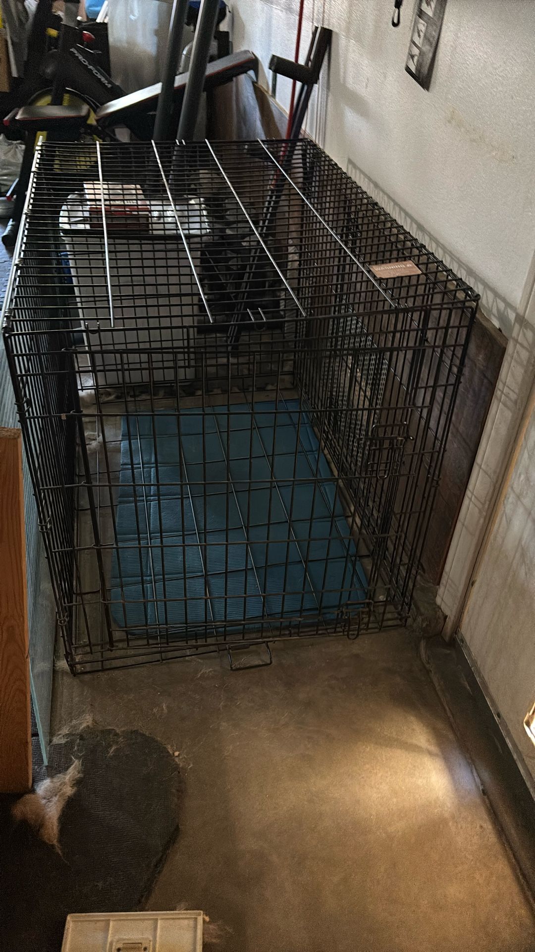 Dog Crate