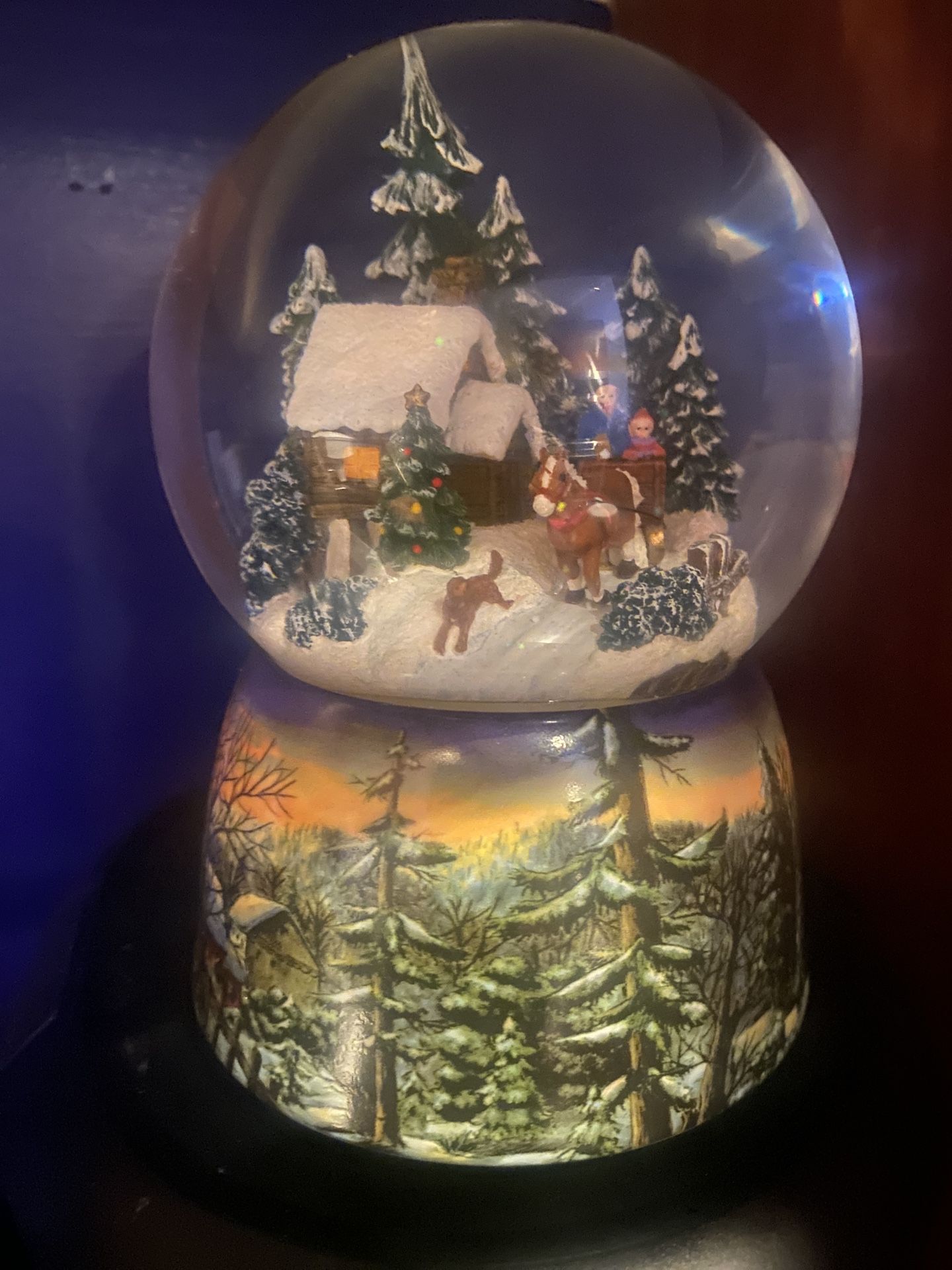 Beautiful Winter Snow Globe