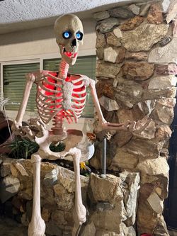 6.5 ft skelly skeleton decoration