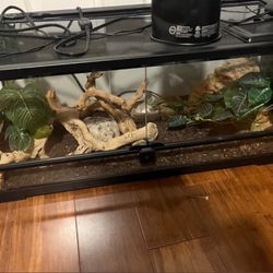 20 Gallon Reptile Tank
