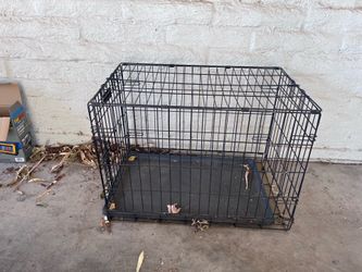 Kennel