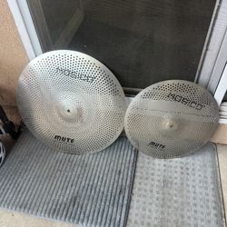 Ride And Crash 20,16 Mute