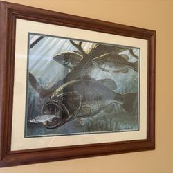 Framed fish picture