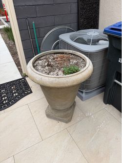 FREE Large Standing Pot