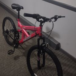 Bicycle DINA CRAFT AFTER SHOEK